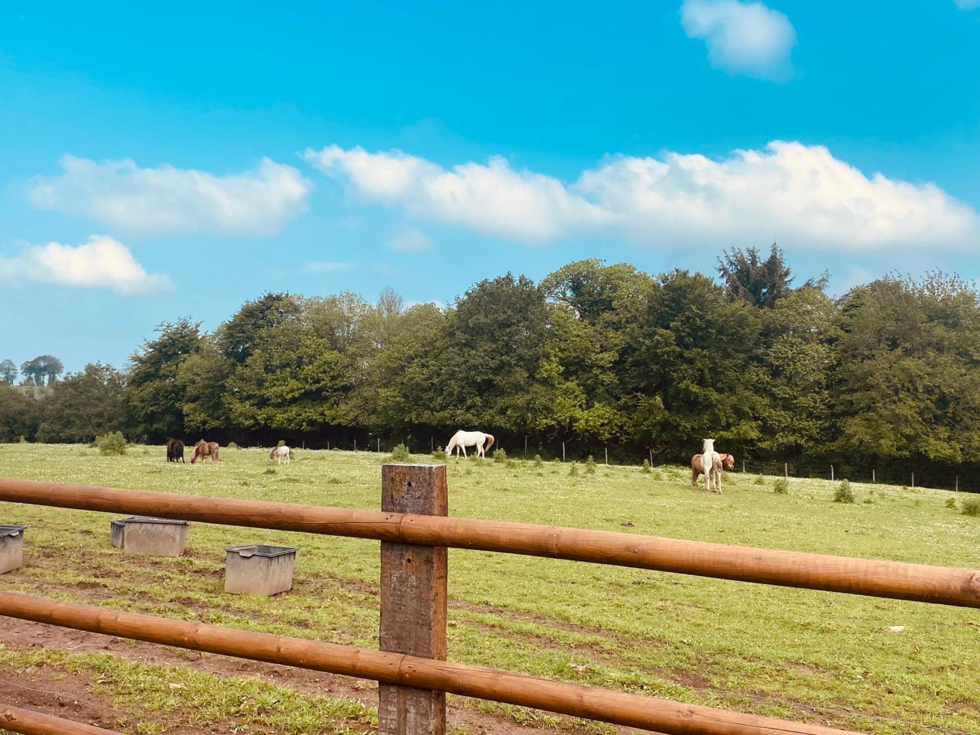 Le Sourn Escapade Dans Un Ranch 아파트 외부 사진